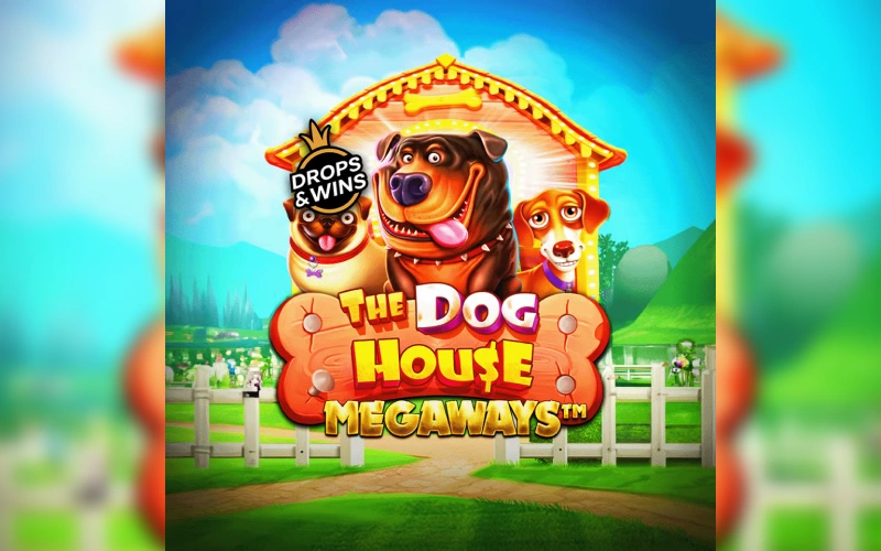 Disfrutá The Dog House Megaways en la plataforma de Jugabet.